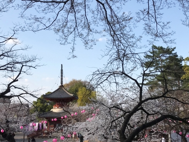 ★【川越】喜多院