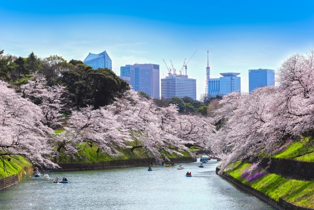 ★【東京】千鳥ヶ淵・北の丸公園