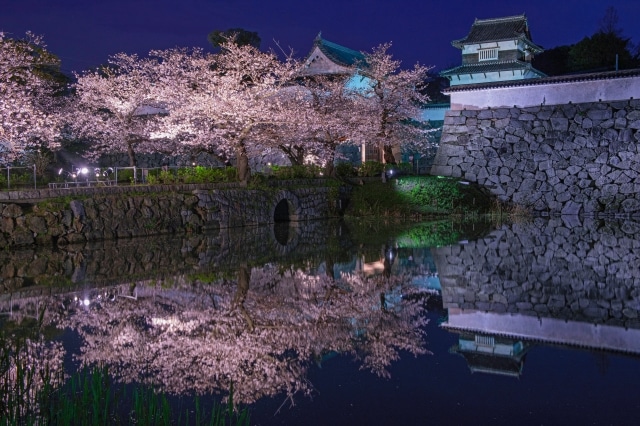 ★【福岡】舞鶴公園・福岡城跡