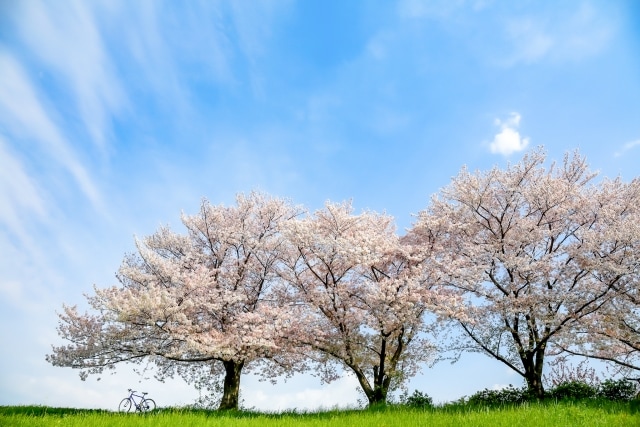 ★相棒選びはぜひ当店にご相談ください！