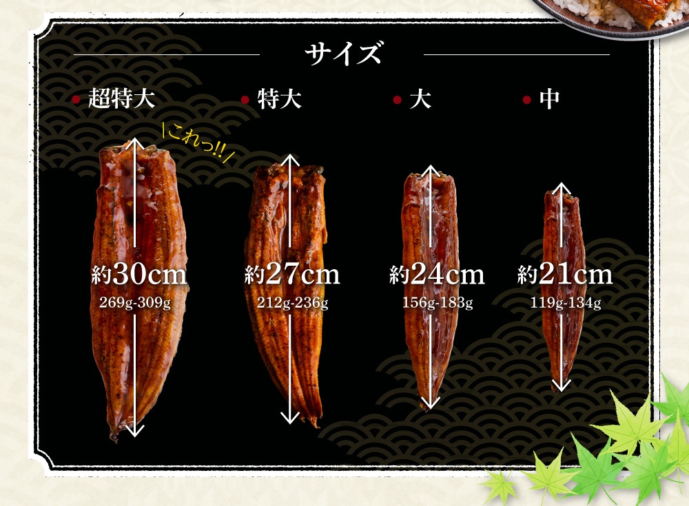 サイズ