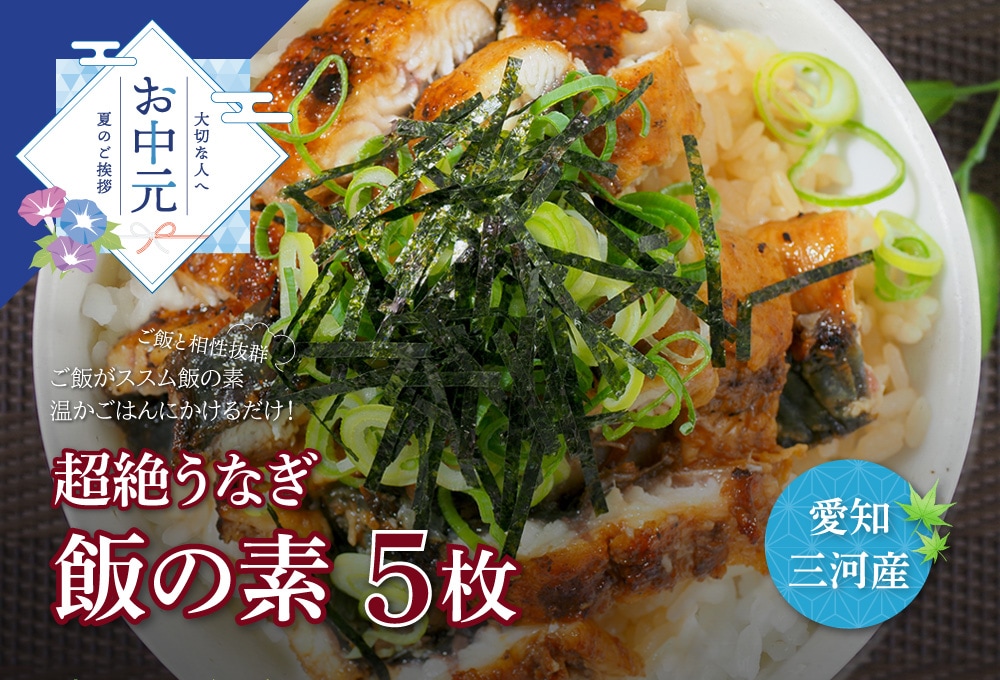 【お中元セット】愛知三河産　超絶うなぎ飯の素　5枚