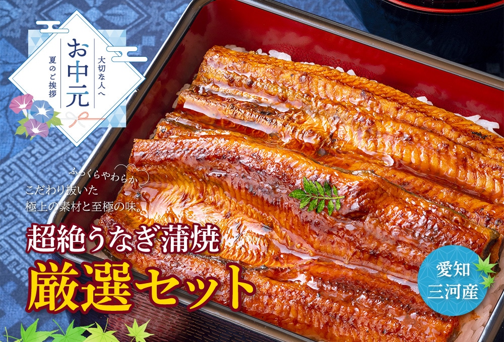 愛知三河産　超絶うなぎお試しセット