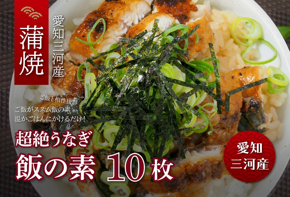 愛知三河産　超絶うなぎ飯の素　10枚