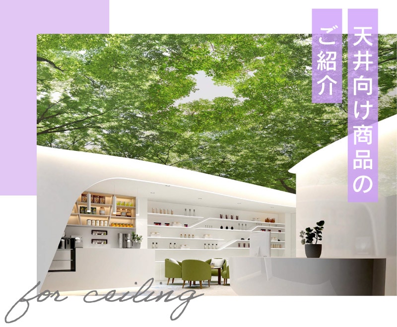 天井向け商品のご紹介