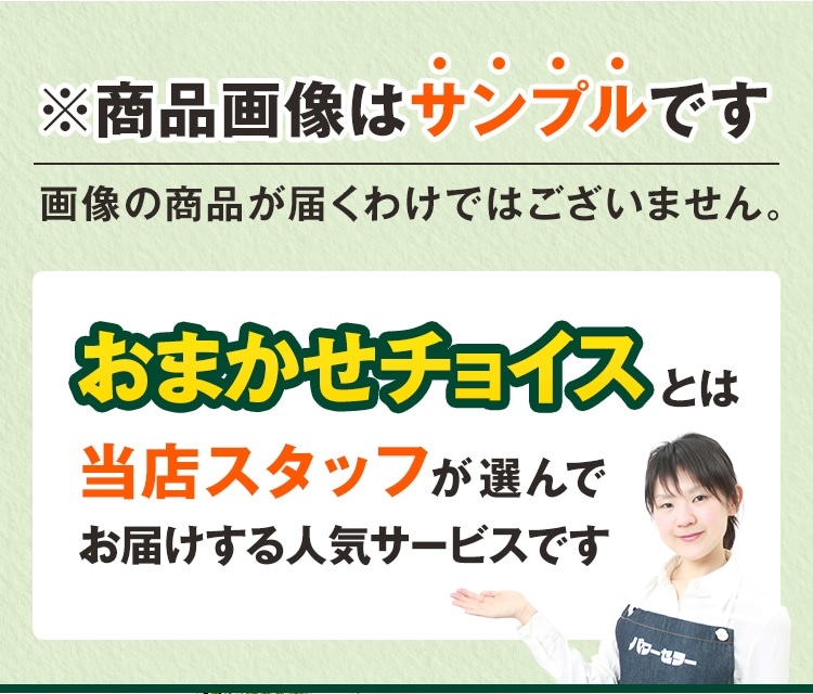 当店おまかせチョイス 中古 折り畳みベッド 東京 埼玉 神奈川 千葉 