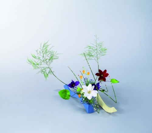 自由花　アプライト縞ふといクレマティス サンダーソニア ギガンテウム