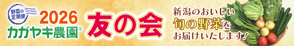 �����䥭����ͧ�β�