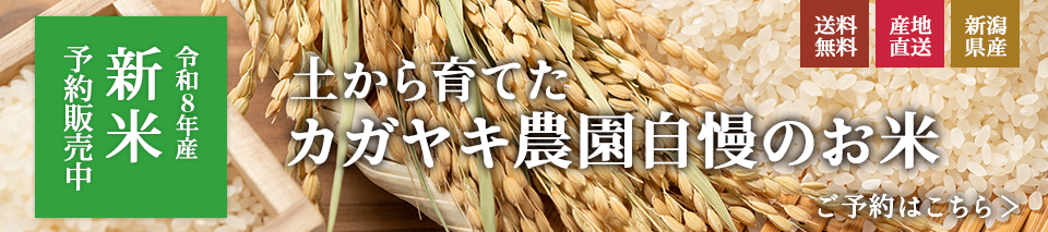 ����8ǯ����