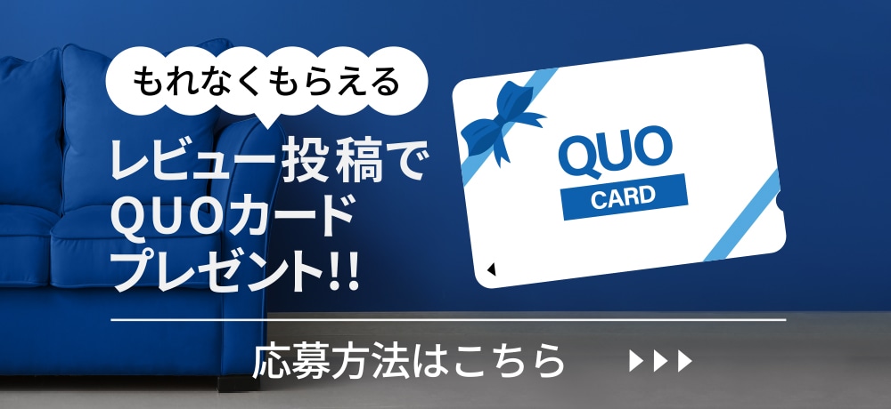レビュー投稿でQUOカードプレゼント
