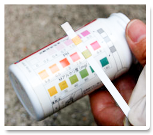 遊離残量塩素、PH、Mアルカリ度の各々の試験部分を容器に貼り付けてある色調表の色枠と比較して判定して下さい。