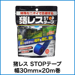 Υ  쥹 STOPơ 30mm20m 1