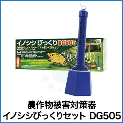 ʪﳲк ΥӤäꥻå DG505  Ӥʤ