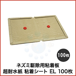 �ͥ��߶����Ǵ���� Ķ�ѿ�� Ǵ�奷���� EL 100��