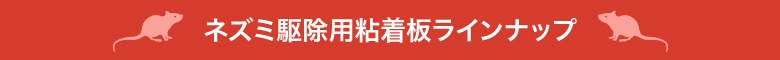 �ͥ��߶����Ǵ���� �饤��ʥå�