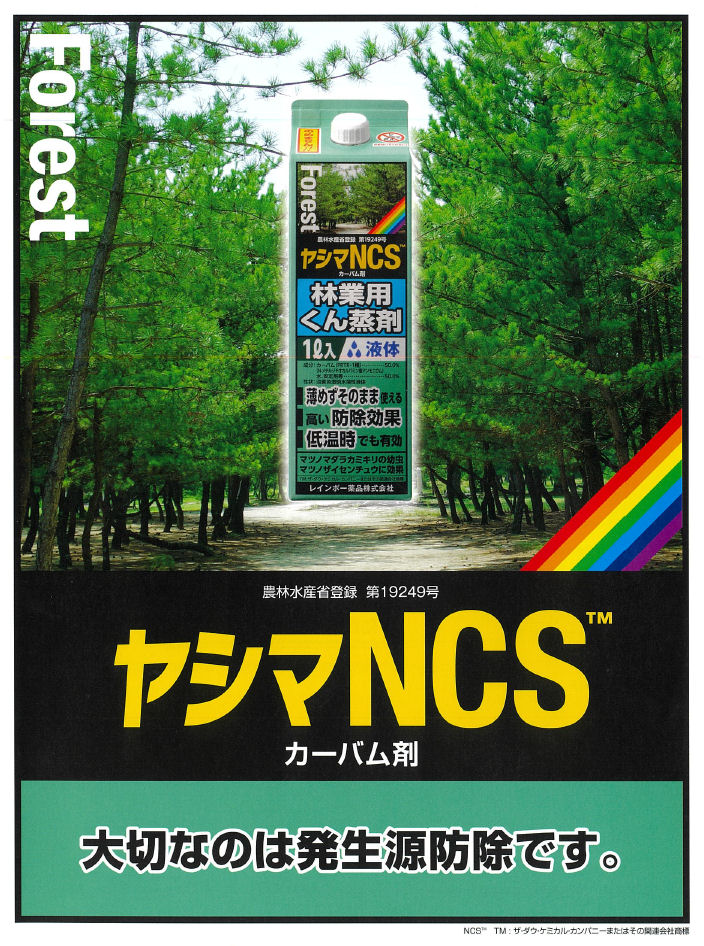 쥤ܡʳ 䥷NCS