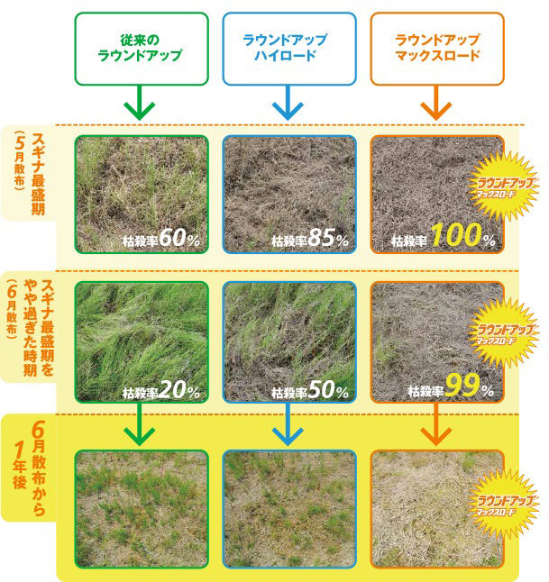 日産化学工業 農薬 ラウンドアップマックスロード 5.5L×3本 【送料無料