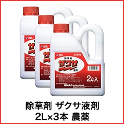 ����� �������պ� 2L��3�� ����