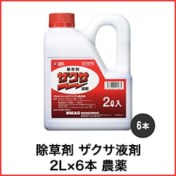 ����� �������պ� 2L��6�� ����