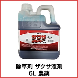 ����� �������պ� 6L ����