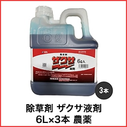 ����� �������պ� 6L��3�� ����