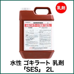  顼  SES 2L