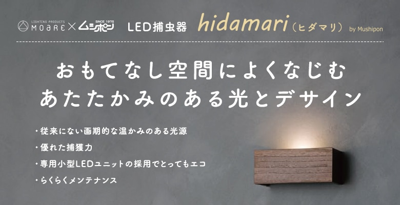 LED捕虫器 hidamari（ヒダマリ） ウォームホワイト 壁面直付型 【送料無料】