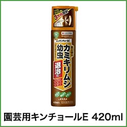 ����ѥ�����硼��E 420ml