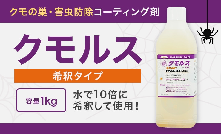 ������㡦�����ɽ������ƥ��󥰺� ����륹