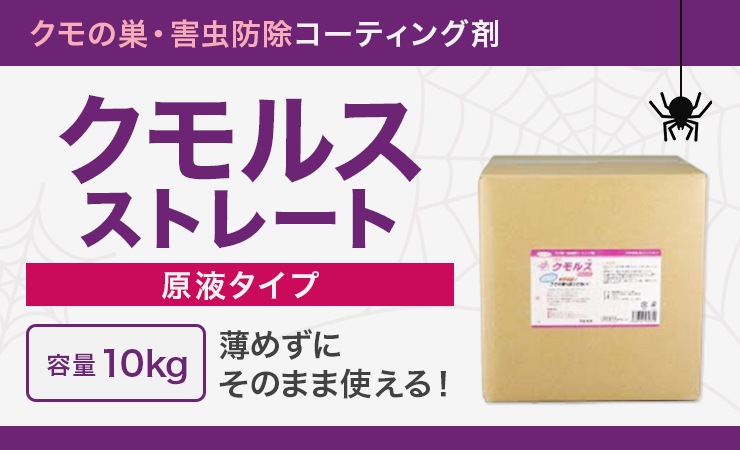 㡦ɽƥ󥰺 륹ȥ졼