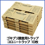 ֥Ĵ ȥå ˡȥå 10 ֥ ©Ĵ Х֥ͥ 