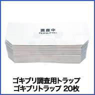 ֥Ĵѥȥå ֥ȥå 20