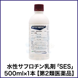 ե SES 500ml 1 2ʡ