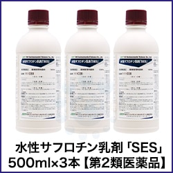 ե SES 500ml3 2ʡ