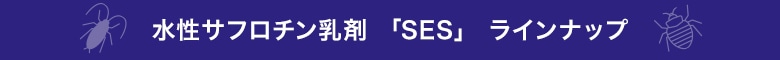 ե SES 饤ʥå
