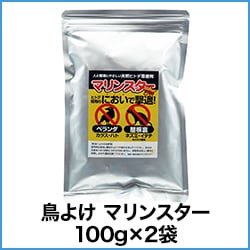 Ļ褱 ޥ󥹥 100g2