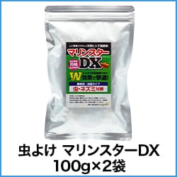 褱 ޥ󥹥DX 100g2