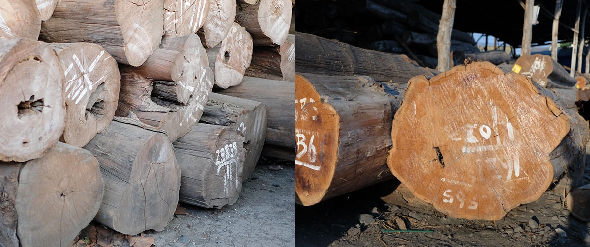 LIBRA/カルティニベンチ 一人掛け(A)ナチュラル