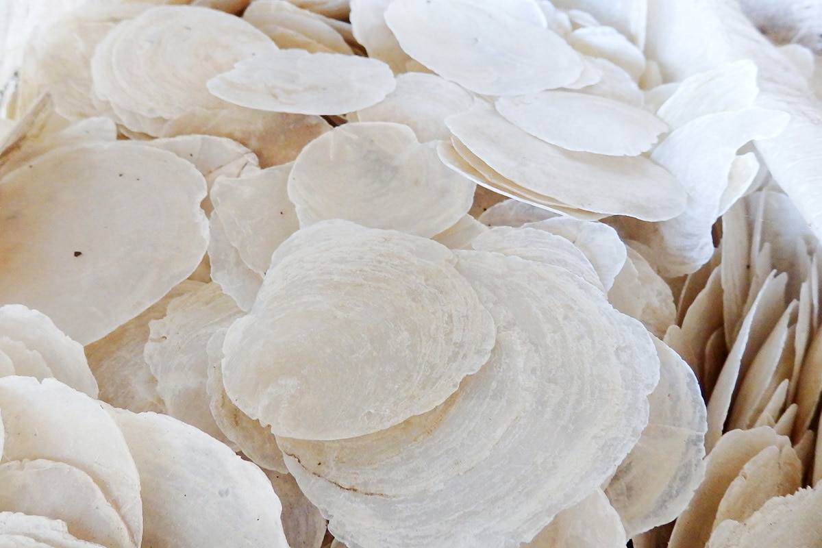 タイド テーブルランプ