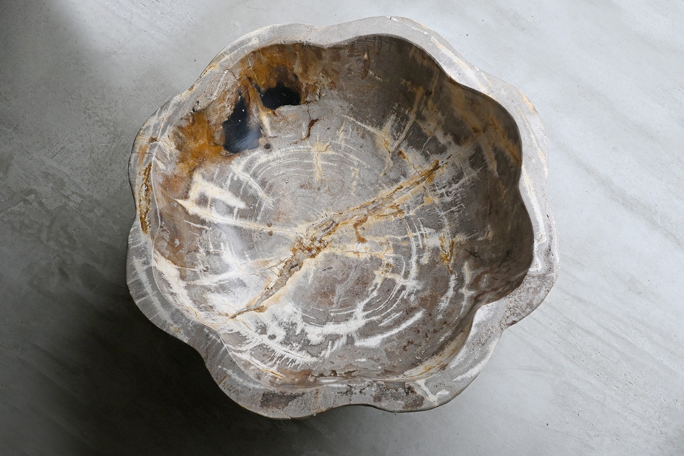 木化石 オブジェ