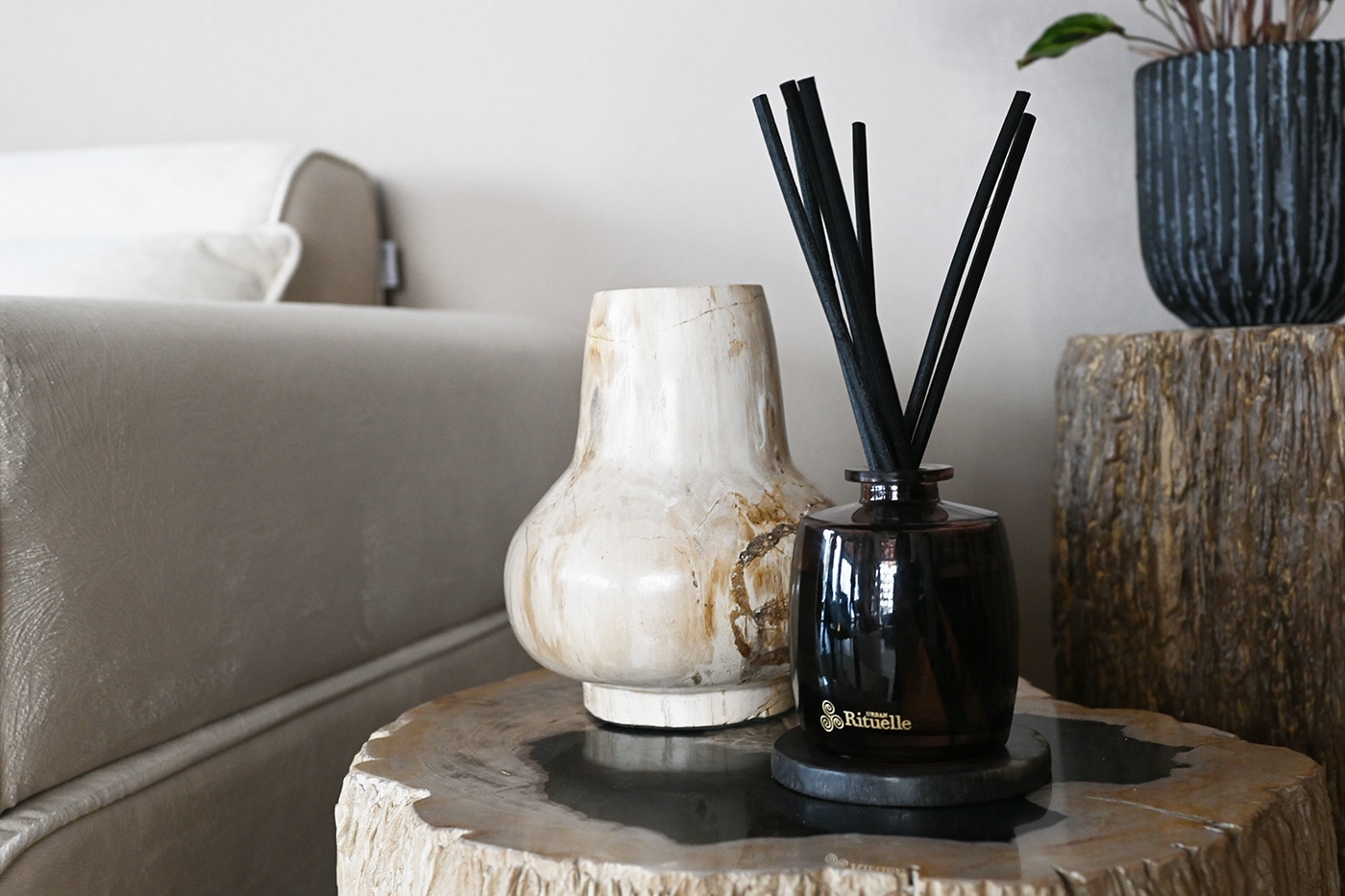 木化石 オブジェ