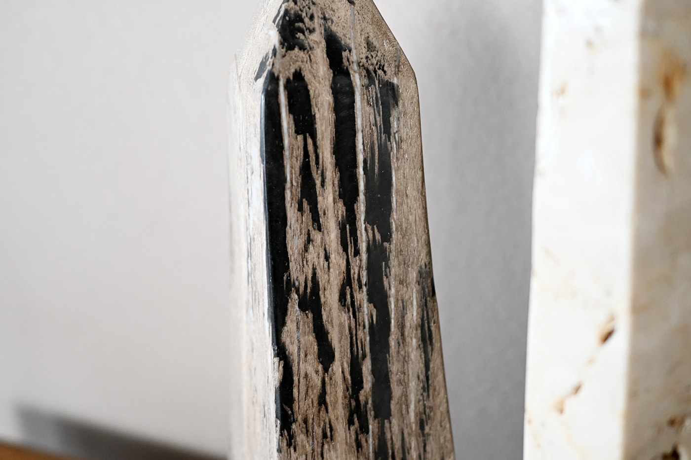 木化石 オブジェ