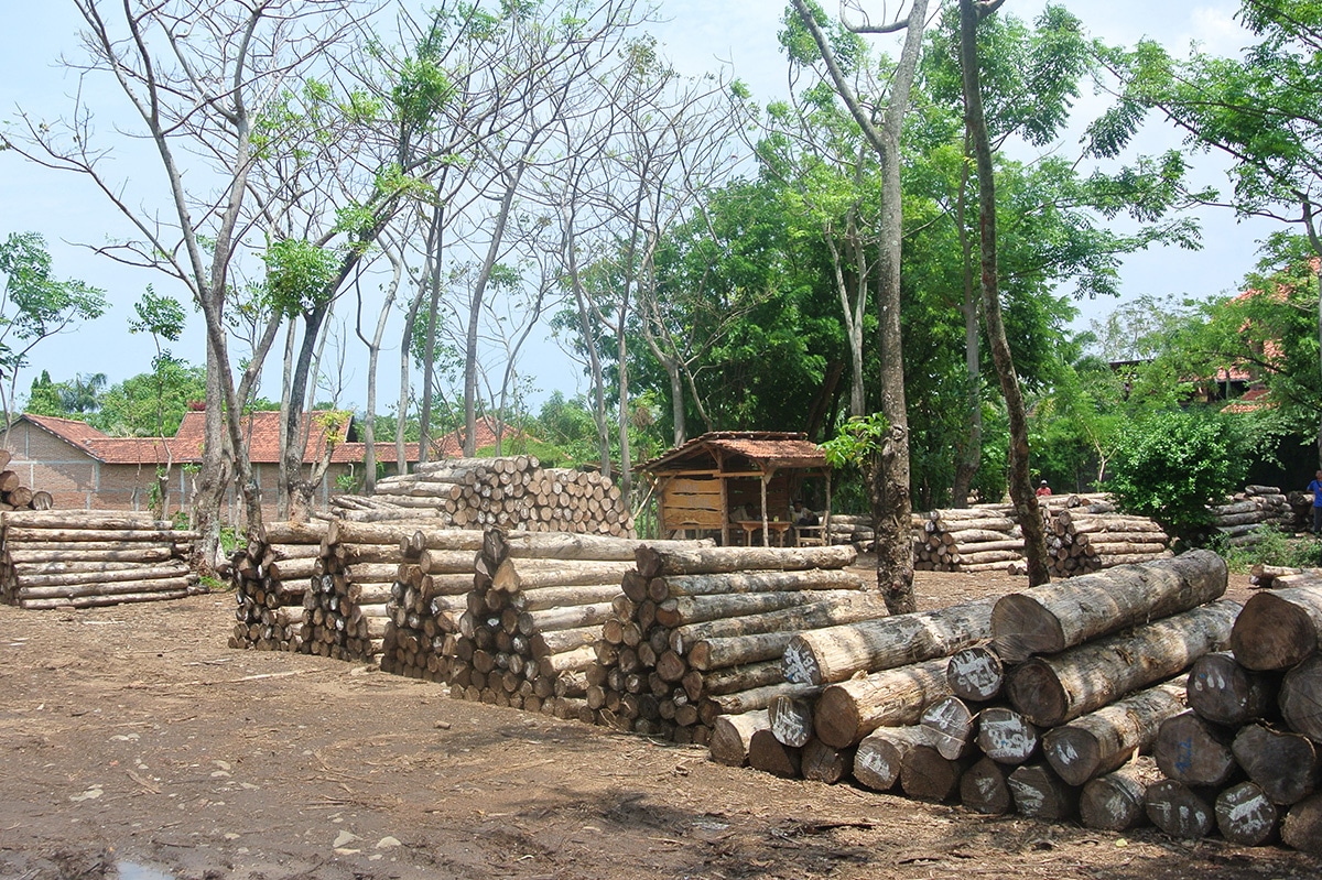 FARGO/オミソファ(カウチ)