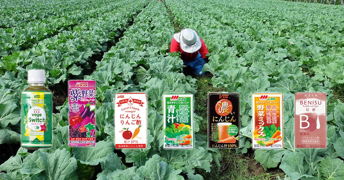 ふるさと納税 ベジスイッチ 200ml×24本 セット【野菜飲料 野菜ジュース 野菜汁 ジュース 飲料 青汁 ソフトドリンク 野菜ミックスジュース .. 宮崎県川南町 ふるさと納税\u203bレビューキャンペーン\u203b宮崎県サンA ベジスイッチ 200ml