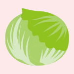 レタスのイラスト