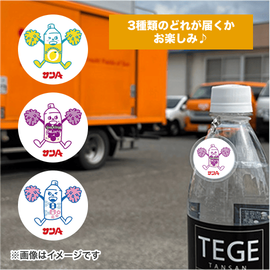 3種類のどれが届くかお楽しみ  ボトルマーカー