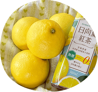 サンA日向夏紅茶無糖 | 宮崎県農協果汁（サンA）公式オンラインショップ
