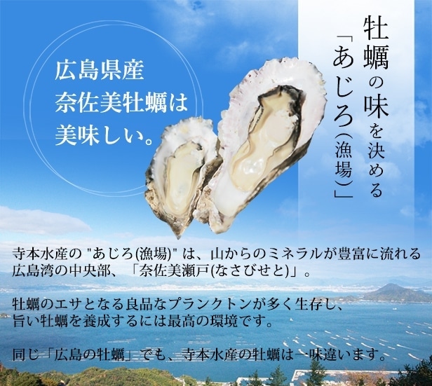 牡蠣 殻付き 冷凍 カンカン焼き 牡蠣 冷凍 15個 加熱用[送料無料]広島産 牡蠣 老舗の味! | カンカン焼き冷凍 | 寺本水産