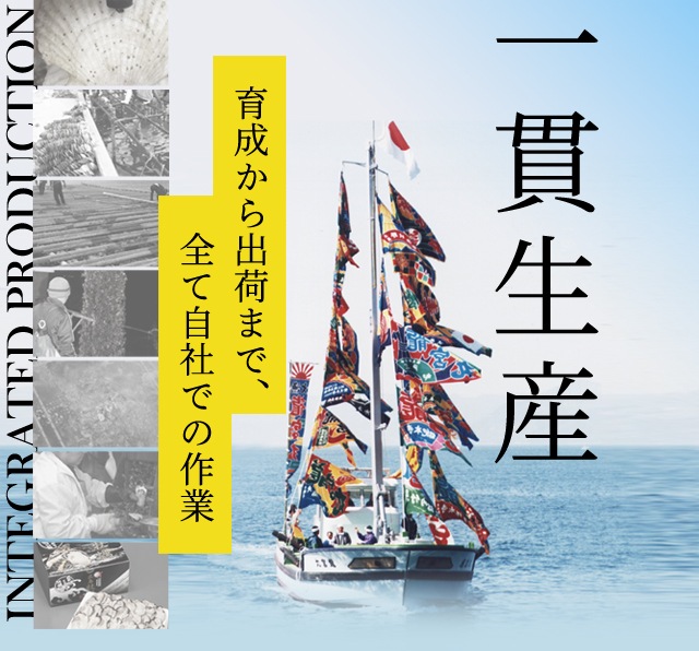 お届け3月31日迄】[鍛え牡蠣]広島牡蠣老舗の味! 殻付き牡蠣100個[生