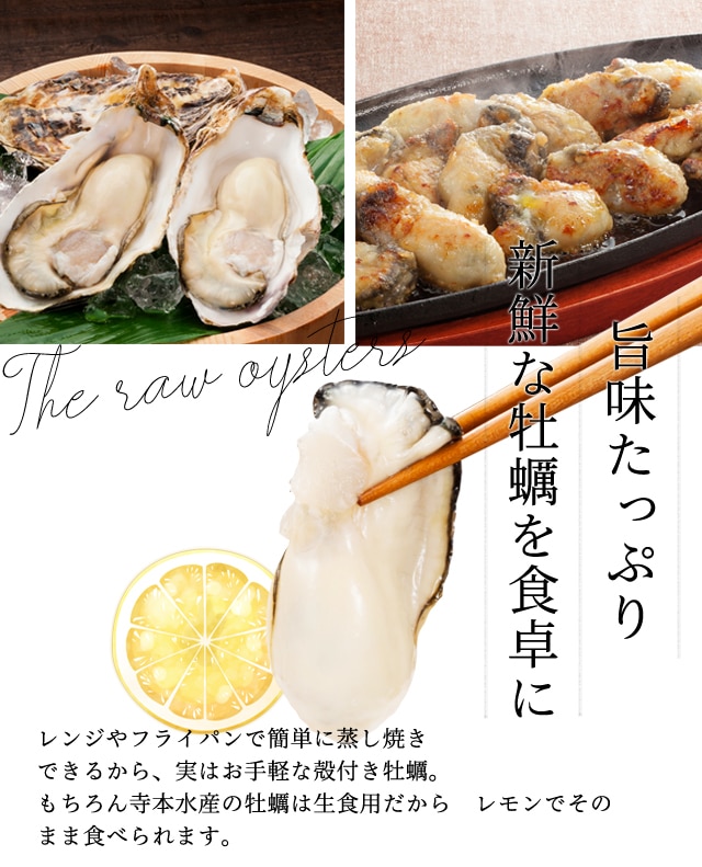 広島牡蠣老舗の味 殻付き牡蠣個 生食用 殻付き牡蠣 寺本水産